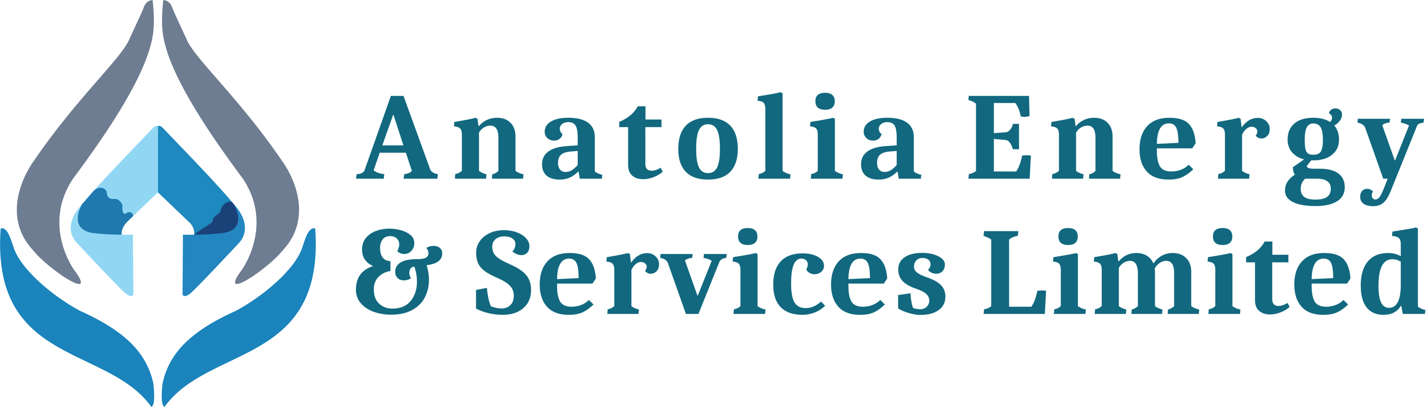 Anatolia Energy & Services Limited